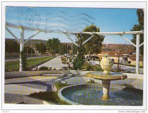 CPM   ARZEW  (algérie)  le jardin public, en 1982.        (2168)