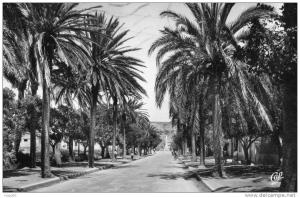 ARZEW - Entrée de la Ville