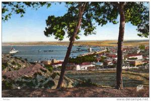 AFRIQUE. ALGERIE. ARZEW. Vue Générale. Carte Dentelée.