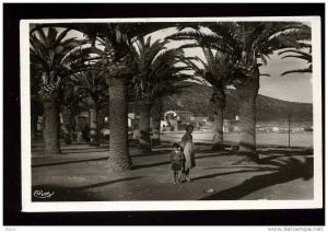 ALGERIE - ARZEW - PALMIERS DE LA PLAGE