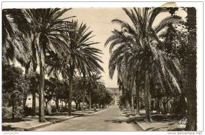 20 - ARZEW - ENTREE DE LA VILLE  (     ) ALGERIE