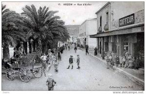 ALGERIE - ARZEW - RUE D´ENFER ANIMEE