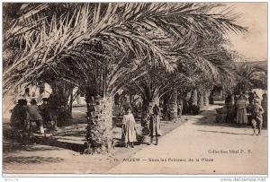ARZEW  -  SOUS LES PALMIERS DE LA PLACE