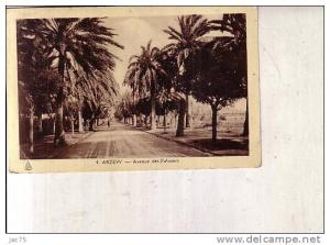ARZEW     AVENUE  DES  PALMIERS
