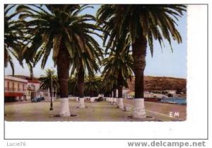 ARZEW  -   La Palmeraie du Port