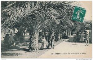 ALGÉRIE- ARZEW  Sous les palmiers de la place