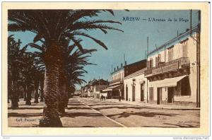 ARZEW - Avenue de la Plage