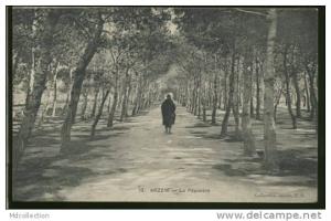 ALGERIE ARZEW /           la pépinière       /