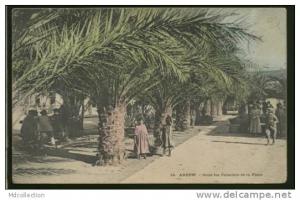 ALGERIE ARZEW /           Sous les palmiers de la place       / CARTE COULEUR