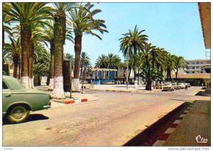 AFRIQUE. ALGERIE. ARZEW. Vue sur La Place du 1er Novembre 1954. Carte Dentelée.