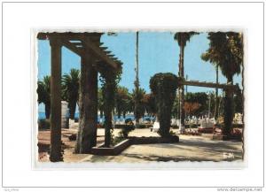 ALGERIE Arzew Jardin Public, ed Combi CPSM 9x14, 1963