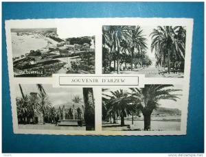 Souvenir d'Arzew - Multi vues - écrite - L29C