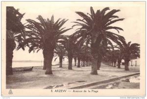 ALGERIE ARZEW AVENUE DE LA PLAGE ED ALBERT