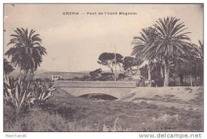 ALGERIE.ARZEW.PONT DE L OUED MAGOUM