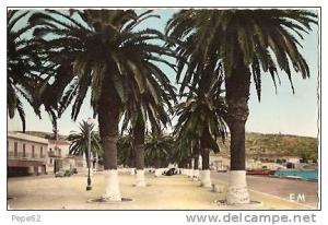 arzew-la palmeraie du port-cpsm