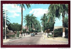 ALGERIE-ARZEW prés ORAN-AVENUE DE LA LIBERTE-