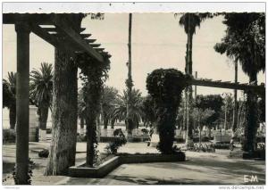 ALGERIE - ARZEW - LE JARDIN PUBLIC