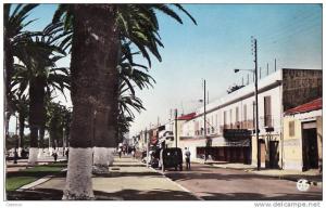 3643  ARZEW   l esplanade     colorisée  écrite