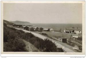 CPSM ARZEW (Algérie) - Fontaine des gazelles et la corniche