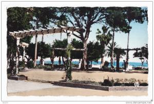 Arzew - Le Square - Sirecky ,Oran - N°3 - Non circulé  - Réf Alg75