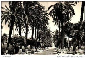 algérie - arzew - la route d'Oran