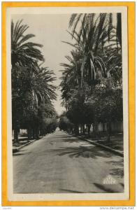 ARZEW - Algérie - n°5  ENTREE DE LA VILLE circulée en 1955 - Photo EPA - alger