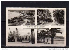 ALGERIE Arzew Multivue, Vue Générale, , Entrée de la Vilel, Place Isly, Allée Palmiers, ed CAP 17, CPSM 9x14, 1950