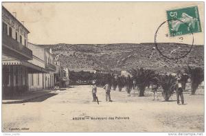Algérie - Arzew - Boulevard des Palmiers