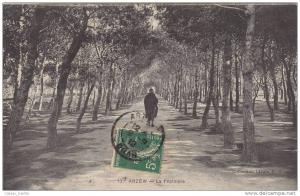 Algérie - Arzew - La Pépinière