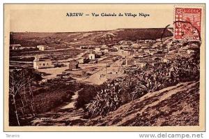 ARZEW - Vue Générale du Village Nègre - CPA léger pli d'angle (hg) sinon B Etat (voir scan)