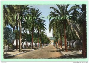 AFRIQUE du NORD - ALGERIE - ARZEW - ENTREE de la VILLE