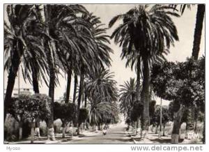 ARZEW La route d´ORAN ,vespa