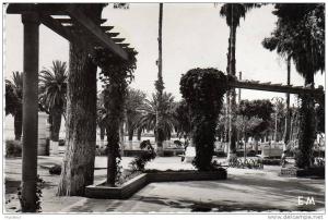 CPSM en n&b  Algérie  Arzew, le jardin public. bel état