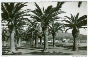 ARZEW - ORAN - Boulevard de la Plage