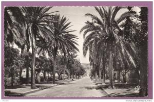 ARZEW - Entrée de la Ville (Petite animation). 1956 Editions REAL-PHOTO. Paris. N° 20