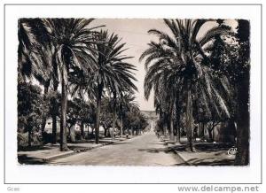 Arzew, entrée de la ville