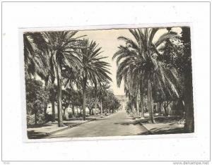 ARZEW_20_ Entrée de la ville