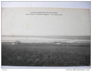 Arzew Salines Sel Etablissements Maletra