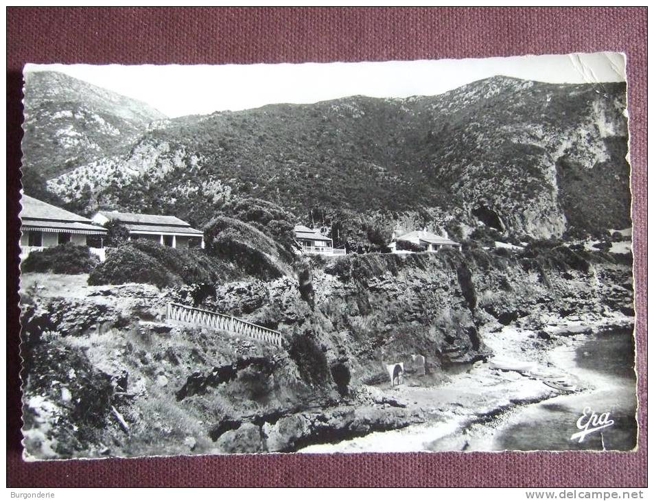 CHENOUA -PLAGE / LES VILLAS / JOLIE CARTE PHOTO / 1958 / EDITIONS PHOTO-AFRICAINES