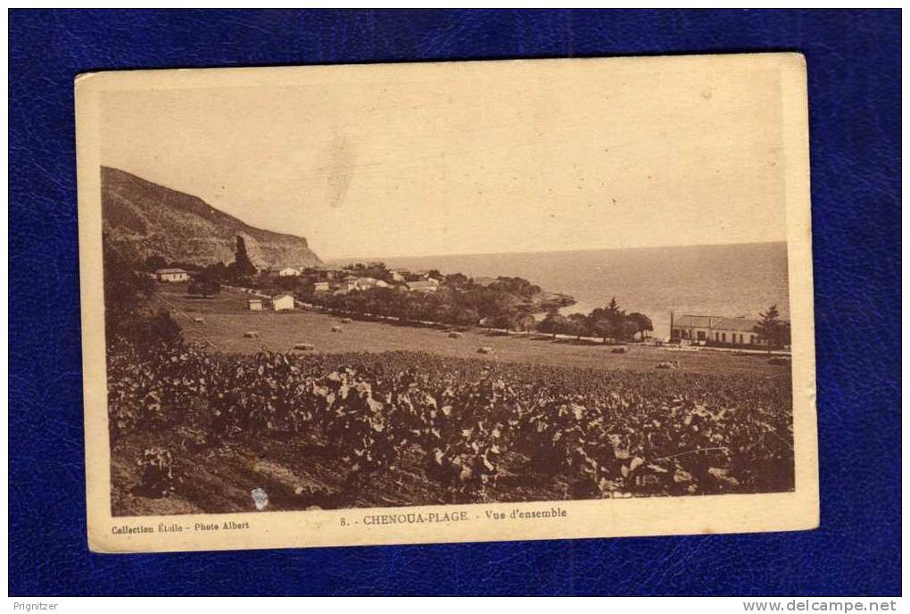 ALGERIE / ALGERIEN    CHENOUA PLAGE    Vue d´ensemble