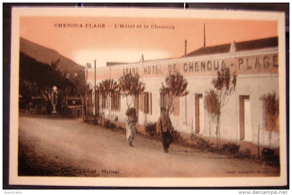 cpa ALGERIE - CHENOUA PLAGE - L' Hôtel et le Chenoua