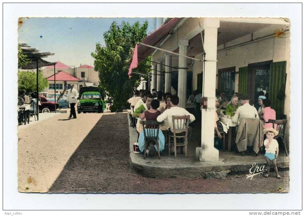 ALGERIE CHENOUA PLAGE HOTEL RESTAURANT TOUT VA BIEN  ALCARAZ FRERES