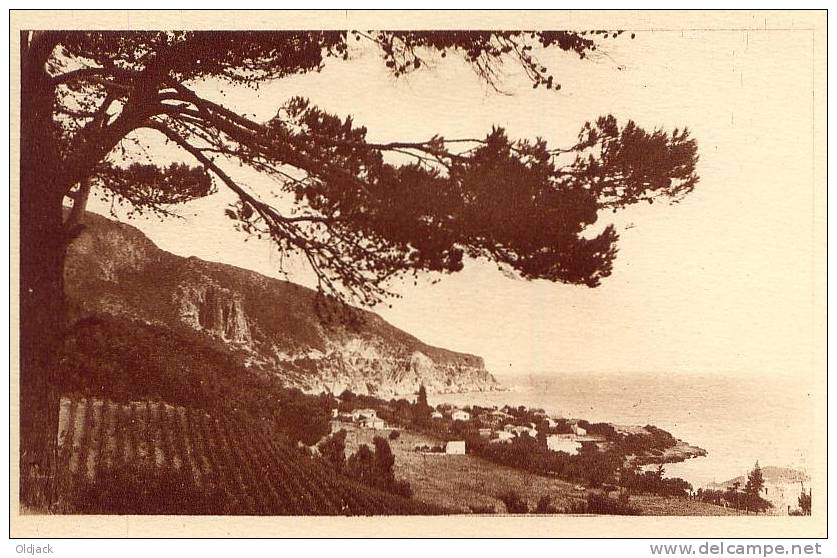 ALGERIE - CHENOUA - Vue de l'Est - SERIE A - N° 10