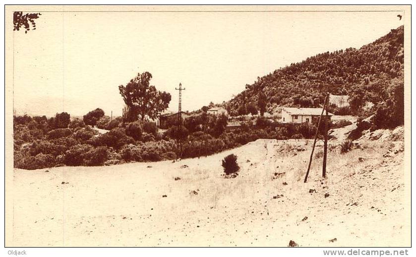 ALGERIE - CHENOUA - Les Maisons dans le Bois (côté Ouest) - SERIE B - N° 7