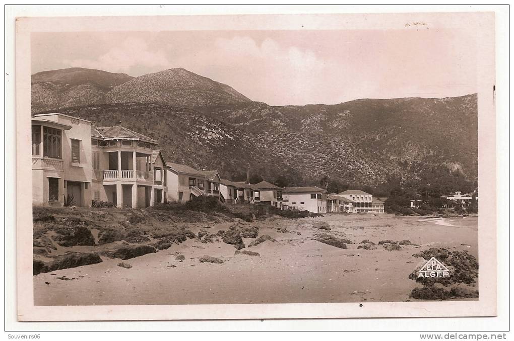 chenoua plage-(cpsm/pm/nb) environs de tipasa (beau plan de villas ( villa berreciatua??au dos)- belle carte