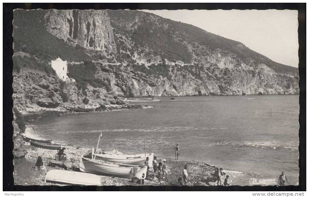 Algerie - Tipasa - La corniche du Chenoua et la plage des galets     (H9)