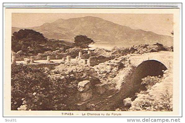 TIPASA - LE   CHENOUA  VU  DU  FORUM      TTBE