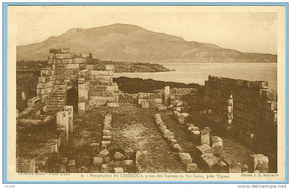 CARTE POSTALE 9 PERSPECTIVE DU CHENOUA PRISE DES RUINES DE STE SALSA PRES TIPASA