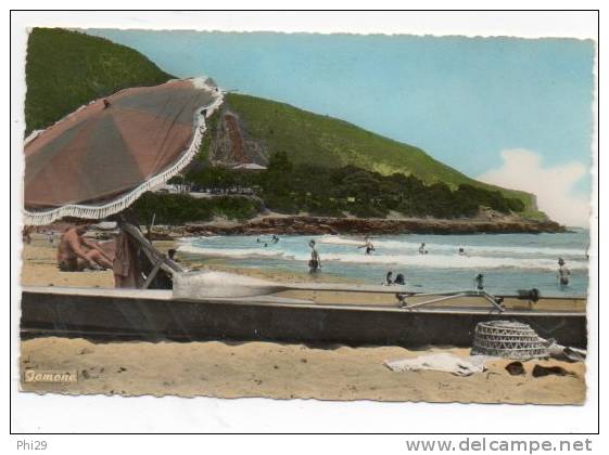 Tipasa le chenoua la plage