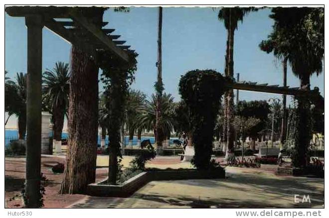 CPSM ARZEW - ALGERIE - LE JARDIN PUBLIC